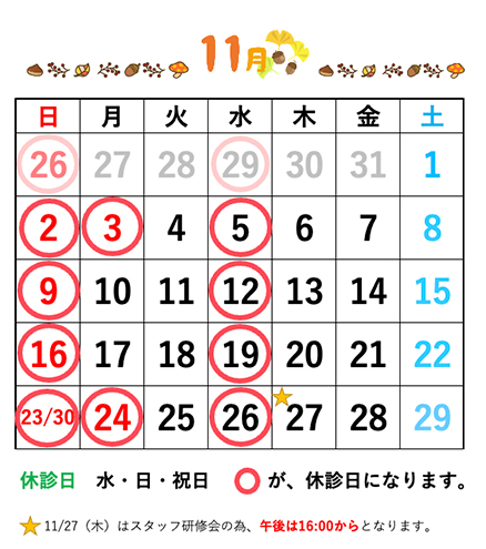 戸田公園ほそい歯科医院11月休診日